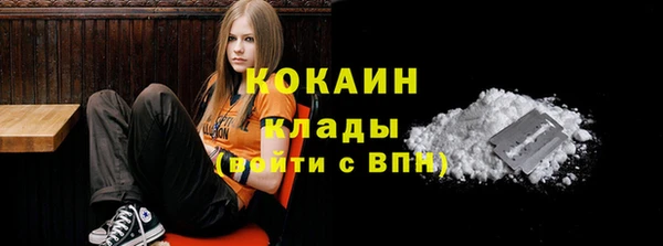 тгк Абинск