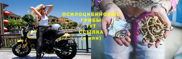 тгк Абинск